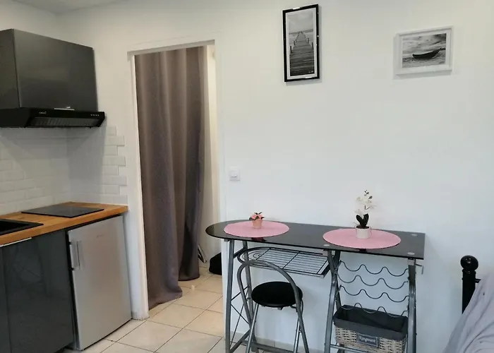 Marina Baie Des Anges Appartement *