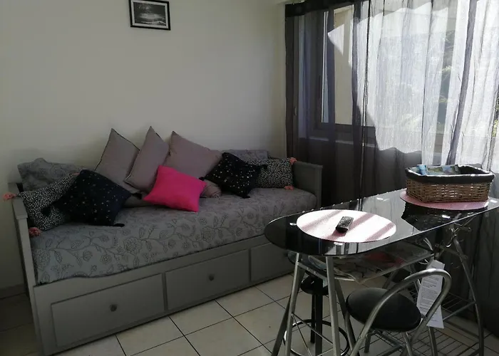 Marina Baie Des Anges Appartement *